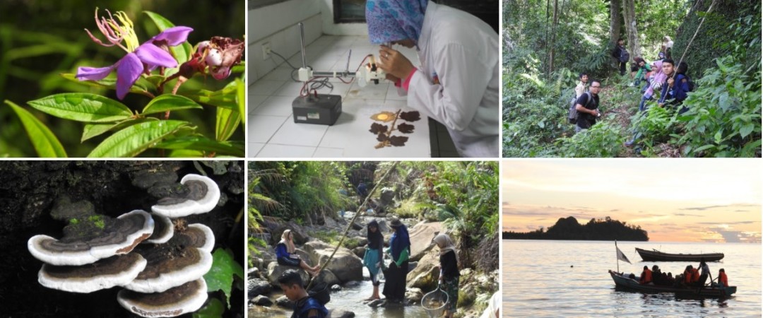 Laboratorium dan Alam