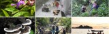 Photo Thumbnail